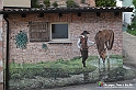 VBS_3716 - Fontanile (Asti) - Murales di Luigi Amerio